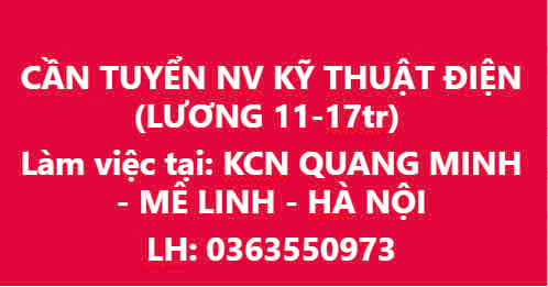 lĩnh vực hoạt động